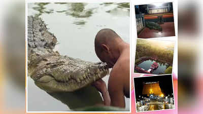 Kerala Crocodile: అనంత పద్మనాభ ఆలయ ‘శాకాహార మొసలి’ కన్నుమూత.. భక్తుల కంటతడి