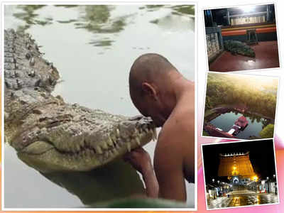 Kerala Crocodile: అనంత పద్మనాభ ఆలయ ‘శాకాహార మొసలి’ కన్నుమూత.. భక్తుల కంటతడి