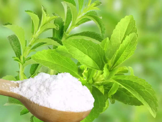 ​சீனித்துளசி ( stevia )