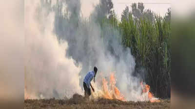 प्रदूषण का खतरा, पंजाब में जलने लगी पराली, 700 से अधिक मामले आए सामने