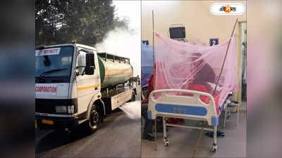 Dengue Symptoms : সংক্রমণে শীর্ষে মহানগর, শহর ছাড়িয়ে গ্রামেও দাপট ডেঙ্গির