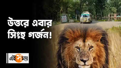 Bengal Safari Park : উত্তরে এবার সিংহ গর্জন!