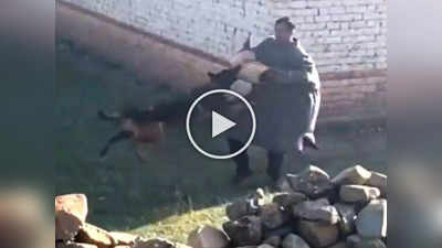 Video: गोळ्या लागल्यानंतरही केला दहशतवाद्यांशी सामना, पाहा देशभक्त कुत्र्यानं कसे पकडले दुष्मन