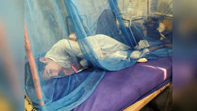 पाकिस्तान को मलेरिया से बचाएगा भारत, इस्लामाबाद खरीदेगा 62 लाख मच्छरदानियां, मुसीबत में याद आया पड़ोसी