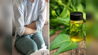 Essential oils for Menopause: मेनोपॉज के लक्षणों का दमदार इलाज हैं अमेरिकी डॉ. द्वारा बताए ये 5 तरह के तेल