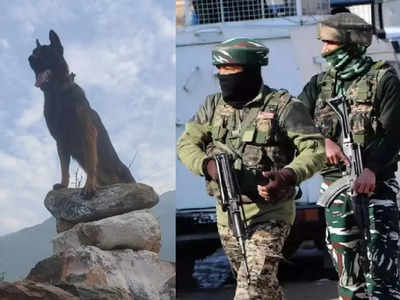 Army Dog: ಉಗ್ರರ ಹುಟ್ಟಡಗಿಸಿದ ಸೇನಾ ಶ್ವಾನ! ಜೀವನ್ಮರಣ ಹೋರಾಟ ನಡೆಸ್ತಿದೆ ಝೂಮ್