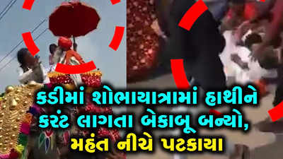 કડીમાં શોભાયાત્રામાં હાથીની અંબાડીનું છત્ર વીજળીના તારને અડી જતા કરંટ લાગ્યો, મહંત નીચે પટકાયા