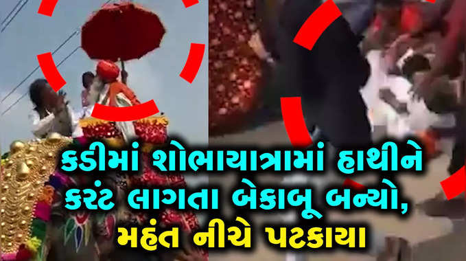 કડીમાં શોભાયાત્રામાં હાથીની અંબાડીનું છત્ર વીજળીના તારને અડી જતા કરંટ લાગ્યો, મહંત નીચે પટકાયા 