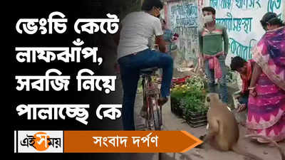 Hooghly News : ভেংচি কেটে লাফঝাঁপ, সবজি নিয়ে পালাচ্ছে কে