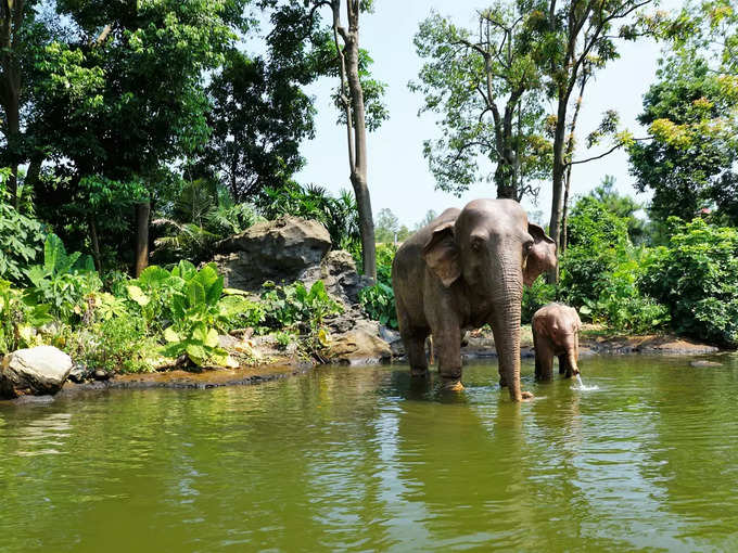 ಪೆರಿಯಾರ್ ರಾಷ್ಟ್ರೀಯ ಉದ್ಯಾನವನ, ಕೇರಳ