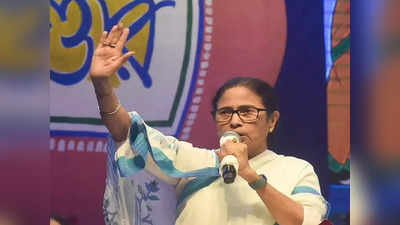 Mamata Banerjee: আপনি চারটে ডান্ডা নিয়ে গেলেন আর ভাবলেন তৃণমূলটা উঠে গিয়েছে: মমতা