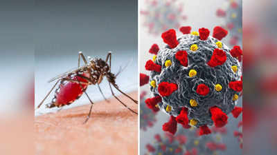 Patna Dengue Cases: पटना में बेकाबू हुआ डेंगू बुखार, पिछले 35 दिनों में साल भर के हिसाब से 90% मामले