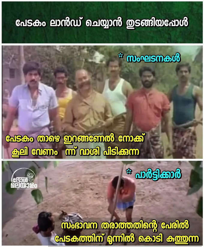 ​മീശയണ്ണൻ