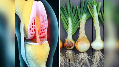How to increase joint lubrication: घुटनों का ग्रीस बढ़ाती हैं ये 6 सब्जियां, हड्डियों की कट कट की आवाज होगी दूर