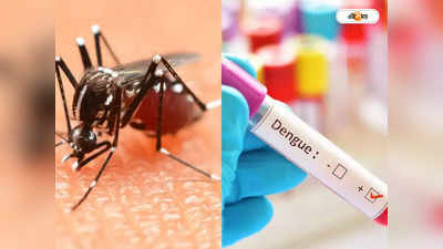 Dengue Fever Symptoms : ডেঙ্গির লম্বা লাফ, শহরতলিতে ভরছে হাসপাতাল