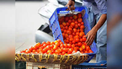 Tomato Price: টমেটোর দাম ফের ₹100 ছুঁইছুঁই, একনজরে শনিবারের বাজারদর