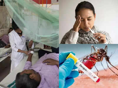 हो जाएं अलर्ट ! बुखार के मामलों में पहले जिस तरह कोविड मिल रहा था अब डेंगू , डॉक्टरों ने बताया कैसे बचें