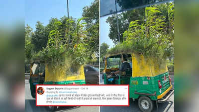 दिल्ली के ऑटो रिक्शा की तस्वीर वायरल, IAS ने कहा-यह गार्डन करता है मिनी AC का काम