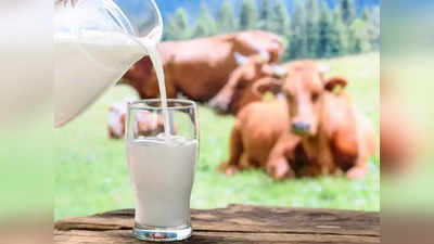 Milk Price Hike: अमूल के बाद मदर डेयरी ने भी दूध के दाम बढ़ाए, अब इतने रुपये महंगा हो गया मिल्क, पूरी डिटेल
