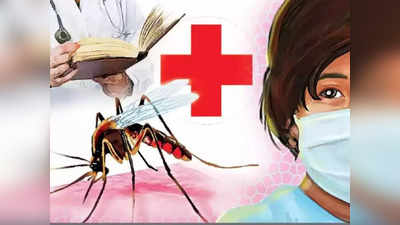 डेंगू से बचके! दिल्ली, यूपी समेत कई राज्यों में अचानक बढ़े केस, बारिश के बाद और बढ़ा खतरा