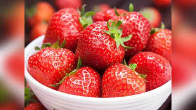 मिर्जापुर का किसान करेगा स्ट्रॉबेरी की खेती, जमकर होगा मुनाफा, जानिए क्या है पूरा प्लान?