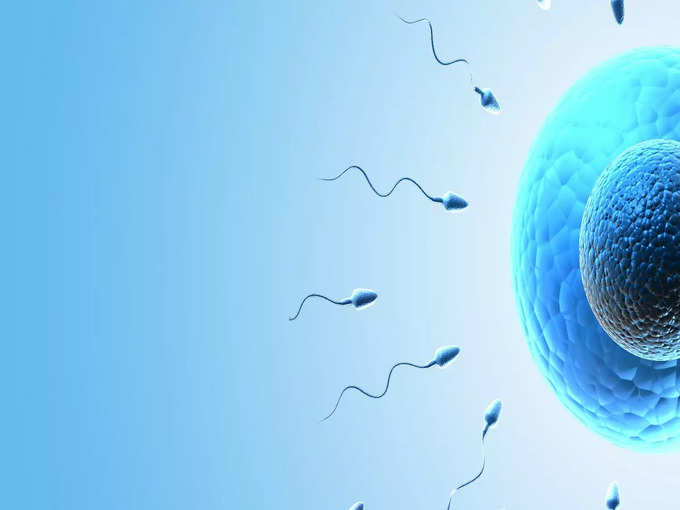 ​IVF Treatment बद्दल माहिती