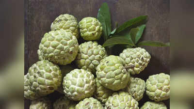 custard apple benefits : சீதாப்பழத்துல இத்தனை நல்ல விஷயம் இருக்காமே!... இனியாவது அடிக்கடி சாப்பிடுங்க...