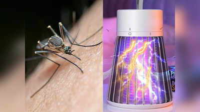 तेजी से फैल रहा है डेंगू का प्रकोप, बचने के लिए इन Mosquito Killer Machine का आज ही करें उपयोग