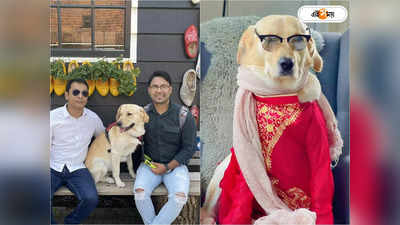 Ponchu The Pup : সেলফিতে পটু, সোশাল মিডিয়া সেনসেশন! সমাজসেবাও করে ‘রোজগেরে’ পঞ্চু