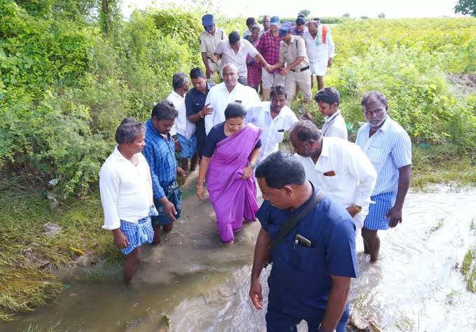 పంట పొలాల్లో పర్యటించిన మంత్రి విడదల రజినీ.. ఆదుకుంటామని రైతులకు హామీ