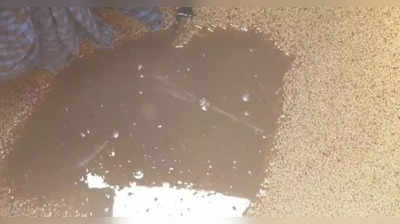 Gadag News - ಹಗೇವಿನಲ್ಲಿ ಉಕ್ಕಿರುವ ಅಂತರ್ಜಲದಿಂದ ಹಾಳಾದ ಜೋಳದ ರಾಶಿ! ಕಣ್ಣೀರು ಹಾಕುತ್ತಿರುವ ರೈತರು!