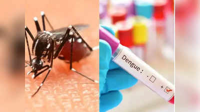 Dengue Fever : কালীপুজোর আগে উদ্বেগ বাড়াচ্ছে ডেঙ্গি, আক্রান্ত হয়ে মৃত্যু ১ ব্যক্তির