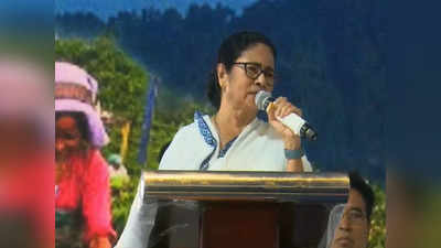 Mamata Banerjee : টাটাকে আমি নয়, CPIM তাড়িয়েছে, পঞ্চায়েত ভোটের আগে মমতার মুখে সিঙ্গুর