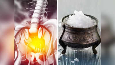 World Osteoporosis Day: ऑस्टियोपोरोसिस में गलने लगती हैं कुल्हे- रीढ़ की हड्डियां, खाने के ये 5 नियम करेंगे बचाव