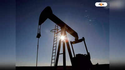 Russia Crude oil : রুশ তেল কেনার প্রশ্নে ধীরে চলার পথে কেন্দ্র