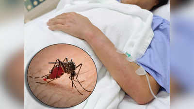 Foods to Avoid in Dengue: डेंगू में भूलकर भी ना खाएं ये चीजें, धड़ाम से गिरने लगेंगी प्लेटलेट्स, बचना हो जाएगा मुश्किल