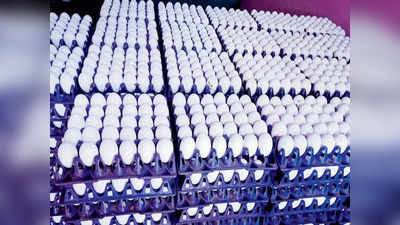 तीस हजार अंड्यांची ऑर्डर; ४०% पैसे भरले, रात्रीचा एक कॉल अन् विद्यार्थ्याला ४४ हजारांचा चुना