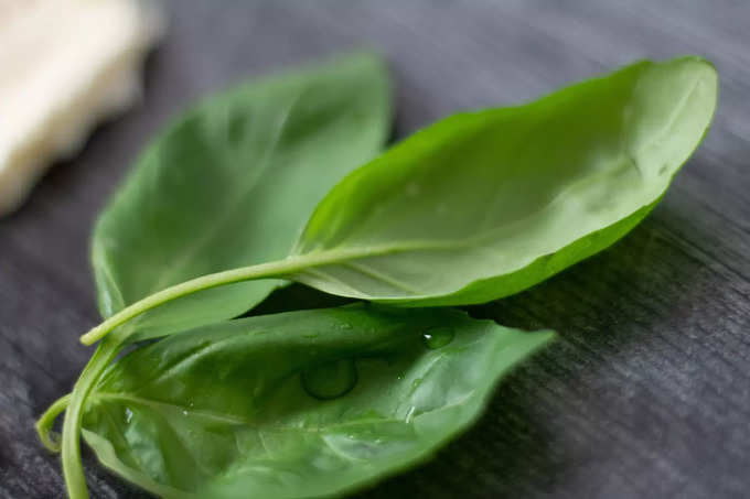 পালং শাক (Spinach)