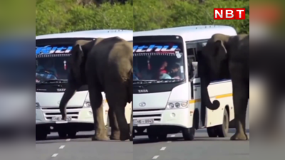 Viral Video : हाथी ने बस को दिया हाथ और चढ़ने की कोशिश... लोग बोले, सबको दिवाली पर घर जाना है