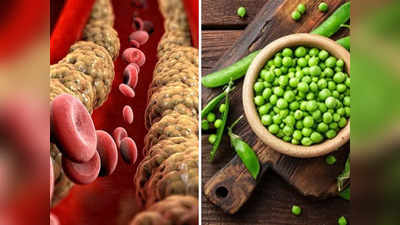 Peas Benefits: खाने में छांट कर फेंक देते हैं मटर के दाने, एक्सपर्ट से जानें इनमें छुपा है सेहत का कौन सा खजाना