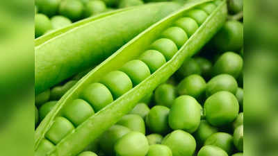 Peas Health Benefits: డయాబెటిక్ పేషెంట్స్‌‌ బఠాణీలు తింటే.. షుగర్‌ కంట్రోల్‌లో ఉంటుంది..!