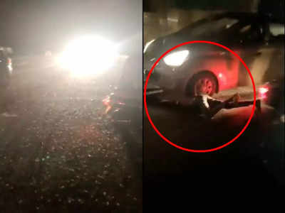 VIDEO: किड्यांमुळे २० ते २५ गाड्या घसरल्या; एक जण कारच्या चाकाखाली येऊन १० फूट फरफटत गेला