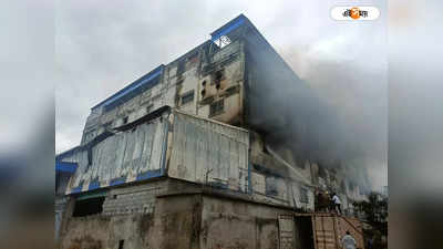 Kolkata Fire : বানতলা লেদার কমপ্লেক্সে বিধ্বংসী আগুন, ঘটনাস্থলে দমকলের ১৫টি ইঞ্জিন