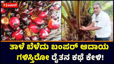 ತಾಳೆ ಕೃಷಿ ಬೆಳೆದು ತಿಂಗಳಿಗೆ 80 ಸಾವಿರಕ್ಕೂ ಅಧಿಕ ಆದಾಯ ಗಳಿಸುತ್ತಿರುವ ಹಿರಿಯ ರೈತ ಎಲ್ಲರಿಗೂ ಮಾದರಿ!