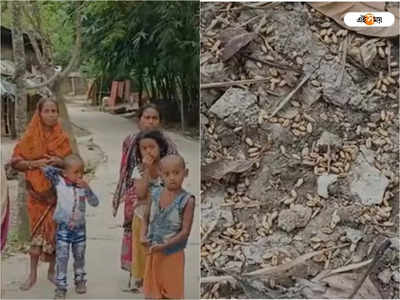 Balurghat News : হাস-মুরগির জন্য জমিতে দেওয়া বিষ মেশানো গম খেয়ে অসুস্থ ৩ শিশু, চাঞ্চল্য