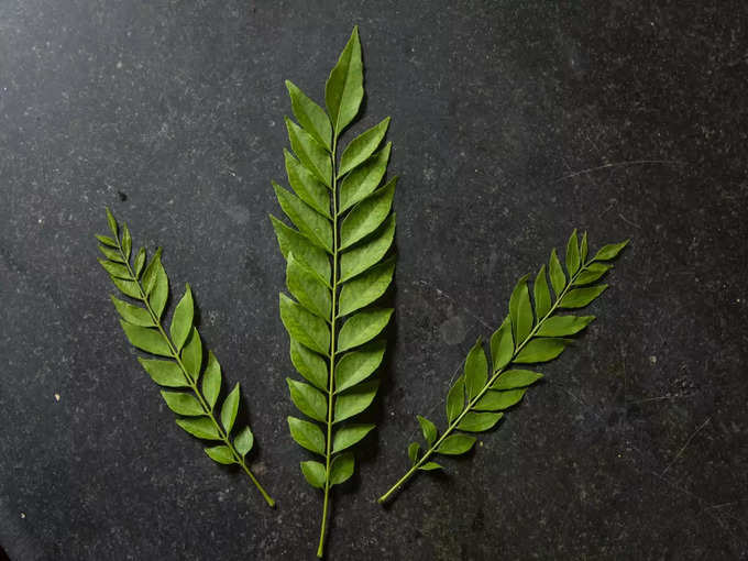 Curry Leaves