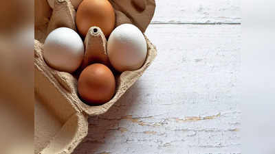 Egg Freshness Testing: గుడ్డు ఫ్రెష్‌గా ఉందో? లేదో? ఈ టెస్ట్‌తో కనిపెట్టండి..!