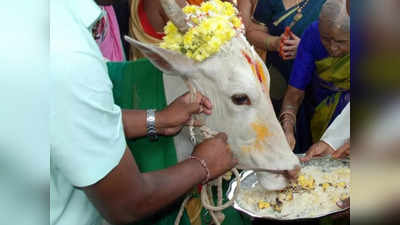 Govardhan Puja 2022: ಗೋಪೂಜೆ ಮುಹೂರ್ತ, ಪೂಜೆ ವಿಧಾನ, ಮಹತ್ವ ಮತ್ತು ಪೂಜೆ ಸಾಮಾಗ್ರಿ..!