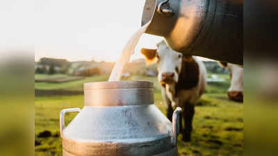 Shimul Milk: ಶಿಮುಲ್‌ ರಾಜ್ಯೋತ್ಸವ ಕೊಡುಗೆ: ನವೆಂಬರ್ 1 ರಿಂದ ರೈತರಿಂದ ಖರೀದಿಸುವ ಹಾಲು ದರ 2 ರೂ. ಹೆಚ್ಚಳ