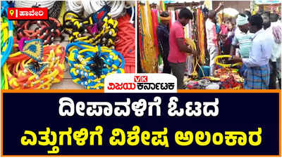 Diwali 2022 | ಹಾವೇರಿಯಲ್ಲಿ ದೀಪಾವಳಿಗೆ ಓಟದ ಎತ್ತುಗಳಿಗೆ ವಿಶೇಷ ಸಿಂಗಾರ: ವಾರಕ್ಕೆ ಮೊದಲೇ ಸಂಭ್ರಮಾಚರಣೆ